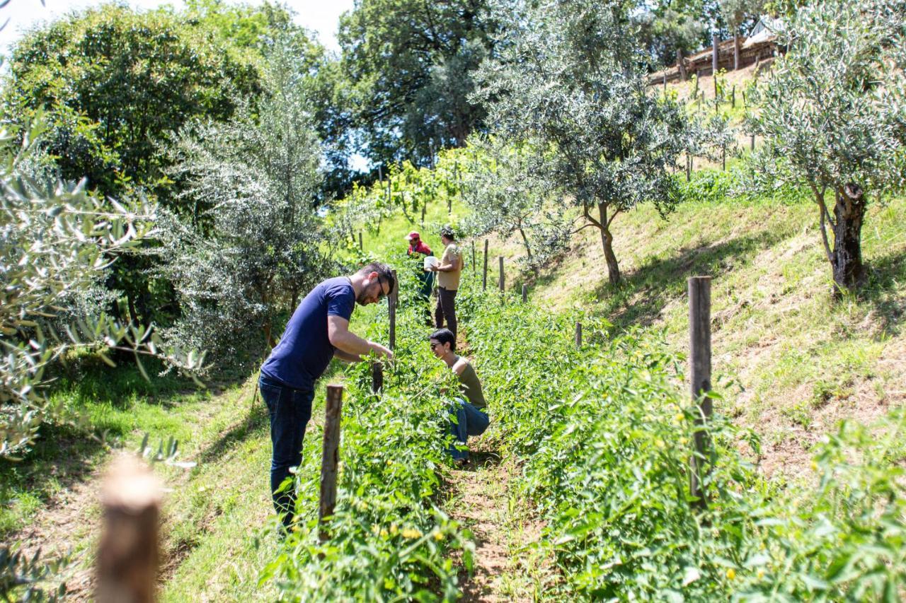 Home 4 Creativity - Coliving Calabria Montalto Uffugo Exterior photo